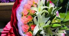 送长辈什么花好？（如何选择适合长辈的鲜花，送上关爱和祝福？）