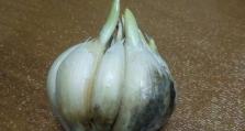 大蒜生芽能吃吗？（如何消除大蒜生芽的毒性）