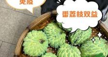 番荔枝种子催芽方法（如何成功催芽番荔枝种子）