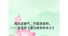 荷花开花季节与花语寓意解析（探寻荷花美丽的开放时间和文化内涵）