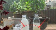 养鱼水浇花（科学浇花、用好养鱼水）