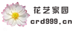 花艺家园